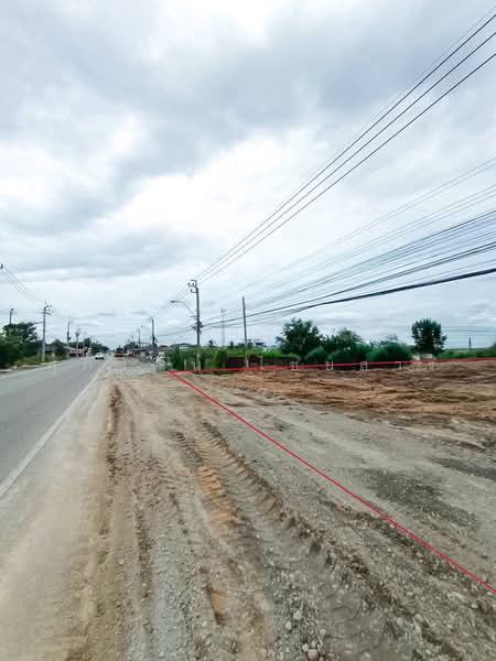 ที่ดินเปล่าถมแล้ว ติดถนนบ้านกล้วย-ไทรน้อย ทำเลศักยภาพ บางบัวทอง นนทบุรี, นนทบุรี, บ้านกล้วย-ไทรน้อย, พิมลราช, บางบัวทอง, นนทบุรี, 1,460 ตร.ม., ที่ดิน ขาย, โดย ศุภวัฒน์ ไชยสาร, 500464445 - DDproperty.com