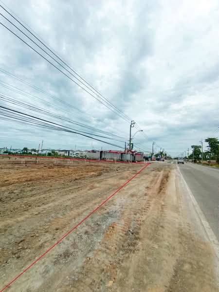 ที่ดินเปล่าถมแล้ว ติดถนนบ้านกล้วย-ไทรน้อย ทำเลศักยภาพ บางบัวทอง นนทบุรี, นนทบุรี, บ้านกล้วย-ไทรน้อย, พิมลราช, บางบัวทอง, นนทบุรี, 1,460 ตร.ม., ที่ดิน ขาย, โดย ศุภวัฒน์ ไชยสาร, 500464445 - DDproperty.com
