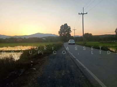 ขาย - ที่ดินแม่ริม, เชียงใหม่