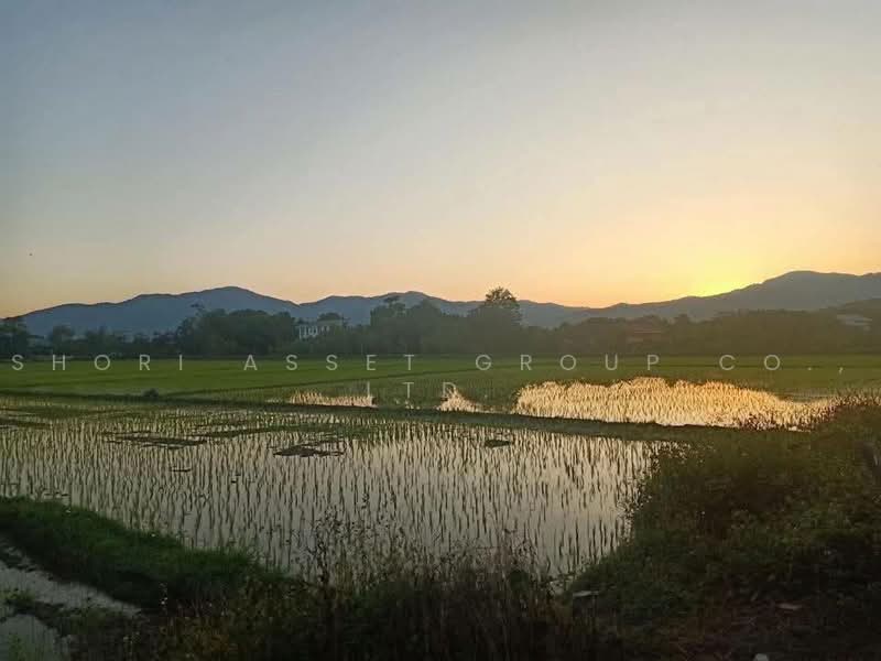 ที่ดินแม่ริม, เชียงใหม่, สันโป่ง, แม่ริม, เชียงใหม่, 20,372 ตร.ม., ที่ดิน ขาย, โดย Shori Asset Group Co., Ltd., 500464459 - DDproperty.com