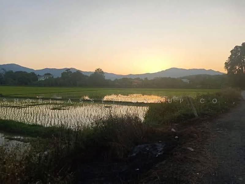 ที่ดินแม่ริม, เชียงใหม่, สันโป่ง, แม่ริม, เชียงใหม่, 20,372 ตร.ม., ที่ดิน ขาย, โดย Shori Asset Group Co., Ltd., 500464459 - DDproperty.com