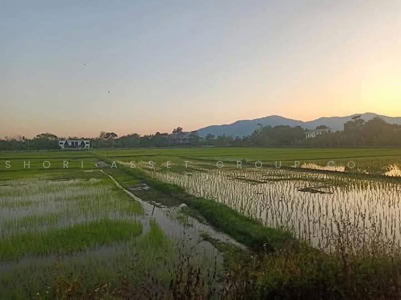 ที่ดินแม่ริม, เชียงใหม่, สันโป่ง, แม่ริม, เชียงใหม่, 20,372 ตร.ม., ที่ดิน ขาย, โดย Shori Asset Group Co., Ltd., 500464459 - DDproperty.com