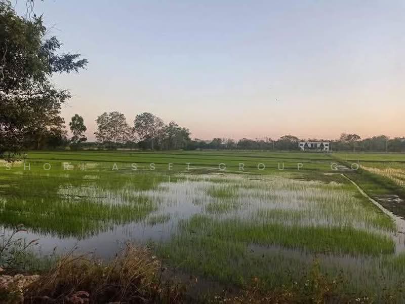 ที่ดินแม่ริม, เชียงใหม่, สันโป่ง, แม่ริม, เชียงใหม่, 20,372 ตร.ม., ที่ดิน ขาย, โดย Shori Asset Group Co., Ltd., 500464459 - DDproperty.com