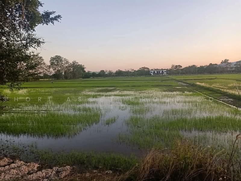 ที่ดินแม่ริม, เชียงใหม่, สันโป่ง, แม่ริม, เชียงใหม่, 20,372 ตร.ม., ที่ดิน ขาย, โดย Shori Asset Group Co., Ltd., 500464459 - DDproperty.com