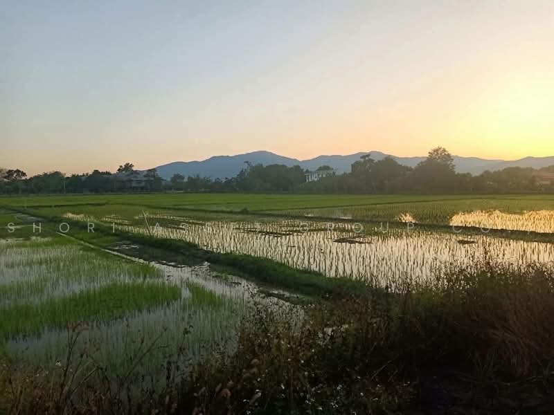 Land in Mae Rim, Chiang Mai, San Pong, Mae Rim, Chiang Mai, , 20,372 sqm, Land For Sale, by Shori Asset Group Co., Ltd., 500464459 - DDproperty.com