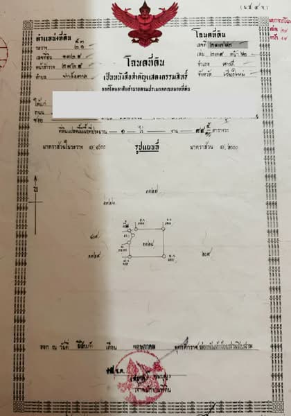 ขายที่ดินเปล่า ท่าวังตาล สารภี เชียงใหม่ 1 ไร่ 88.5 ตร.ว. ใกล้ 7-Eleven ราคาพิเศษ, Chiang Mai, Tha Wang Tal, Saraphi, Chiang Mai, , 1,954 sqm, Land For Sale, by คุณหมี, 500464570 - DDproperty.com