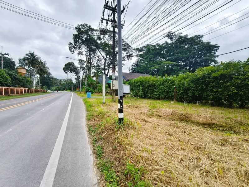 บ้านเดี่ยวหนองบัว จันทบุรี, จันทบุรี, หนองบัว, เมืองจันทบุรี, จันทบุรี, 180 ตร.ม., บ้านเดี่ยว ขาย, โดย The Best Property ป้อ, 500464596 - DDproperty.com