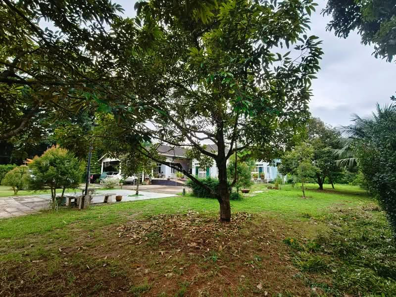 บ้านเดี่ยวหนองบัว จันทบุรี, จันทบุรี, หนองบัว, เมืองจันทบุรี, จันทบุรี, 180 ตร.ม., บ้านเดี่ยว ขาย, โดย The Best Property ป้อ, 500464596 - DDproperty.com