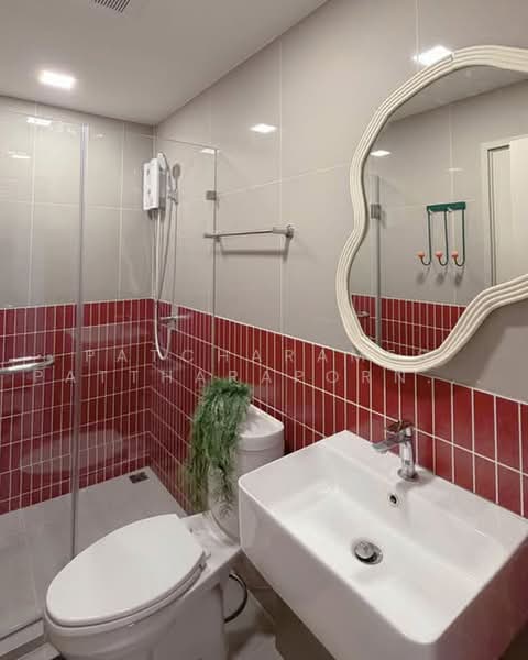 COBE Kaset-Sripatum, Bangkok, Phahon Yothin Rd, Lat Yao, Chatuchak, Bangkok, 1 Bedroom, 30 sqm, Condo For Rent, by Patcharames Pattharapornviboon, 500464672 - DDproperty.com