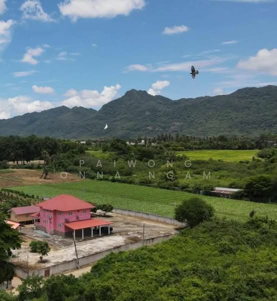 บ้านพร้อมที่ดิน-ต้นสัก 9-3-53 ไร่ กลางดง-ปากช่อง จ.นครราชสีมา, Nakhon Ratchasima, Klang Dong, Pak Chong, Nakhon Ratchasima, 5 Bedrooms, 400 sqm, Single Detached House For Sale, by Paiwong Onna-nam, 500464689 - DDproperty.com