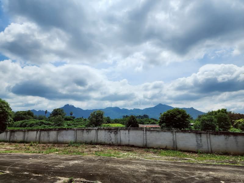 บ้านพร้อมที่ดิน-ต้นสัก 9-3-53 ไร่ กลางดง-ปากช่อง จ.นครราชสีมา, นครราชสีมา, กลางดง, ปากช่อง, นครราชสีมา, 400 ตร.ม., บ้านเดี่ยว ขาย, โดย paiwong onna-ngam, 500464689 - DDproperty.com