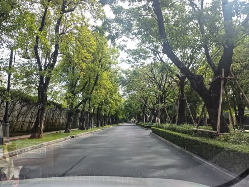 Narasiri Bangna Km.10 : นาราสิริ บางนา กม.10, สมุทรปราการ, ถนนบางนาตราด กม.10, บางพลีใหญ่, บางพลี, สมุทรปราการ, 500 ตร.ม., บ้านเดี่ยว ให้เช่า, โดย อัญญาภรณ์ วิษณุรัก, 500464715 - DDproperty.com