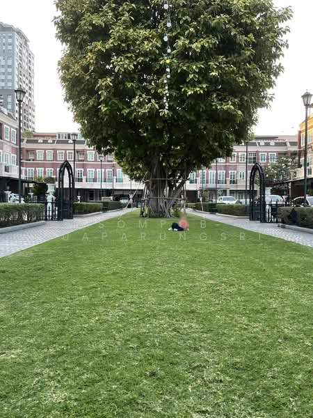 Garden Square Sukhumvit 77 : การ์เด้น สแควร์ สุขุมวิท 77, กรุงเทพ, ถนนสุขุมวิท, พระโขนงเหนือ, วัฒนา, กรุงเทพ, 250 ตร.ม., ทาวน์เฮ้าส์ ให้เช่า, โดย Sompob Buaparungsri, 500464807 - DDproperty.com