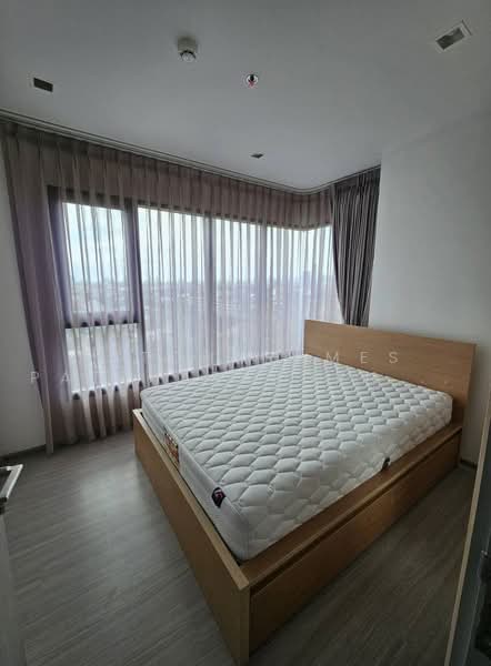 Life Sukhumvit 62, Bangkok, Soi Sukhumvit 62, Bang Chak, Phra Khanong, Bangkok, 2 Bedrooms, 50 sqm, Condo For Rent, by Patcharames Pattharapornviboon, 500464846 - DDproperty.com
