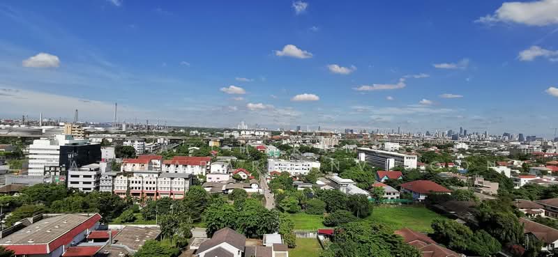 Life Sukhumvit 62 : ไลฟ์ สุขุมวิท 62, กรุงเทพ, ซอยสุขุมวิท 62, บางจาก, พระโขนง, กรุงเทพ, 50 ตร.ม., คอนโด ให้เช่า, โดย Patcharames Pattharapornviboon, 500464846 - DDproperty.com