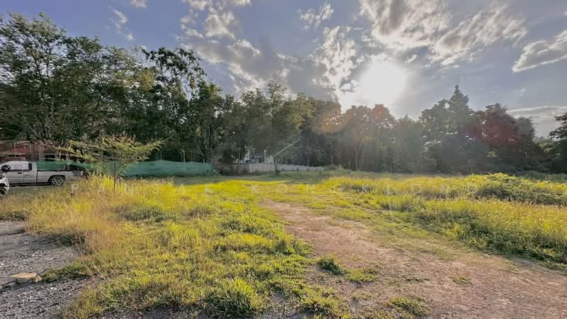 Land near Prem International School Mae Rim Chiang Mai, Chiang Mai, 3009, Huai Sai, Mae Rim, Chiang Mai, , 3,248 sqm, Land For Sale, by Pansak Kongklong, 500464881 - DDproperty.com