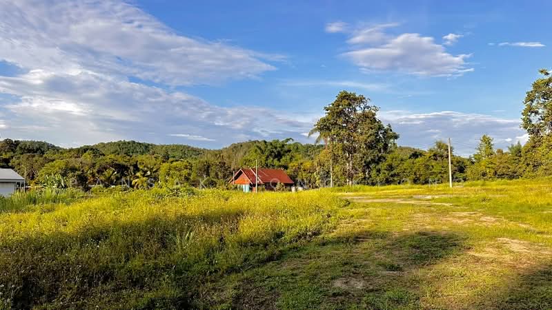 Land near Prem International School Mae Rim Chiang Mai, Chiang Mai, 3009, Huai Sai, Mae Rim, Chiang Mai, , 3,248 sqm, Land For Sale, by Pansak Kongklong, 500464881 - DDproperty.com