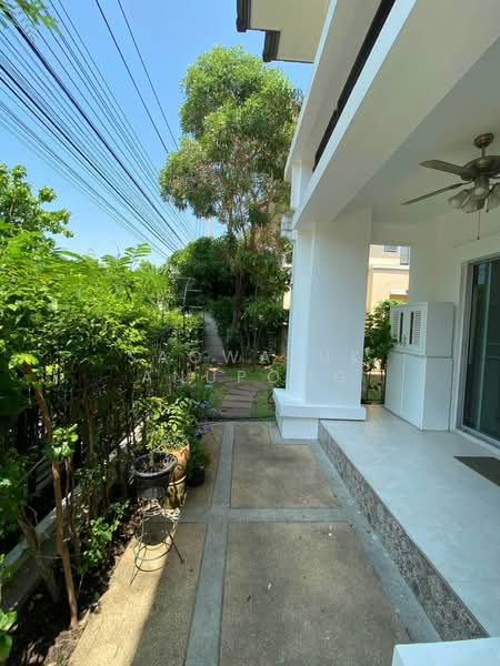 The Centro Sukhumvit 113 : เดอะ เซนโทร สุขุมวิท 113, สมุทรปราการ, ถนน สุขุมวิท 113, สำโรงเหนือ, เมืองสมุทรปราการ, สมุทรปราการ, 240 ตร.ม., บ้านเดี่ยว ให้เช่า, โดย Saowaluk Anupong, 500464912 - DDproperty.com