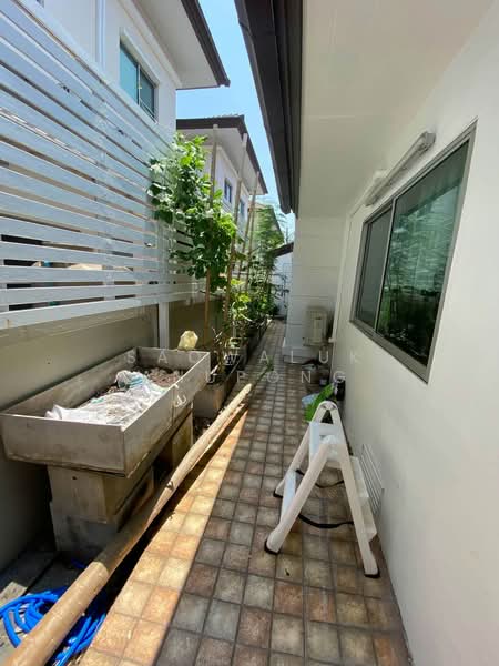 The Centro Sukhumvit 113 : เดอะ เซนโทร สุขุมวิท 113, สมุทรปราการ, ถนน สุขุมวิท 113, สำโรงเหนือ, เมืองสมุทรปราการ, สมุทรปราการ, 240 ตร.ม., บ้านเดี่ยว ให้เช่า, โดย Saowaluk Anupong, 500464912 - DDproperty.com
