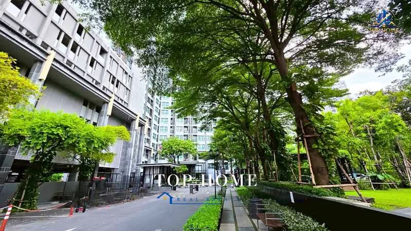 The Base Sukhumvit 77, Bangkok, 289 Sukhumvit 77 Road, Phra Kanong Nua, Watthana, Bangkok, 1 Bedroom, 28 sqm, Condo For Sale, by คุณเเจง, 500465060 - DDproperty.com