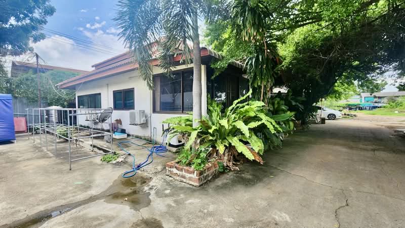คลองสอง, Pathum Thani, Khlong Song, Khlong Luang, Pathum Thani, , 4,800 sqm, Land For Sale, by สมภพ กุลชล, 500465182 - DDproperty.com