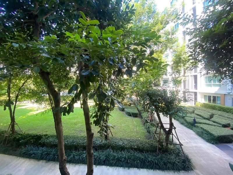 Dcondo Sign, Chiang Mai, Hwy Chiang Mai-Lampang Frontage Road, Fa Ham, Muang Chiang Mai, Chiang Mai, 1 Bedroom, 30 sqm, Condo For Rent, by Best Choice Property, 500465239 - DDproperty.com