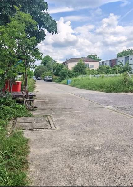 ที่ดินเปล่า 298 ตร.ว. ใกล้ห้างฟิวเจอร์พาร์ค รังสิต ซอยรังสิต-นครนายก62, Pathum Thani, นรังสิต-นครนายก, Prachathipat, Thanyaburi, Pathum Thani, , 1,192 sqm, Land For Sale, by คุณ พรชัย เสนจันทร์ฒิไชย (โก้), 500465284 - DDproperty.com