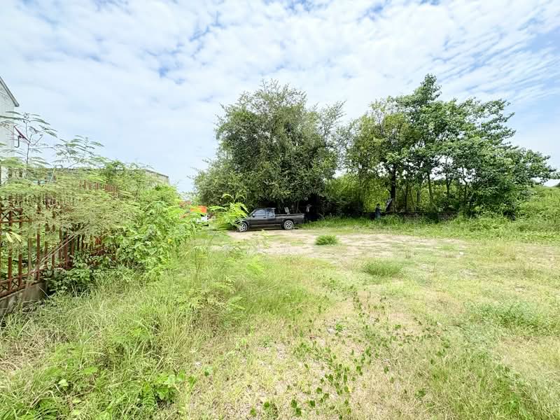 ที่ดินตาคลี นครสวรรค์, นครสวรรค์, ตาคลี, นครสวรรค์, 384 ตร.ม., ที่ดิน ขาย, โดย The Best Property ต้นอ้อ, 500465296 - DDproperty.com