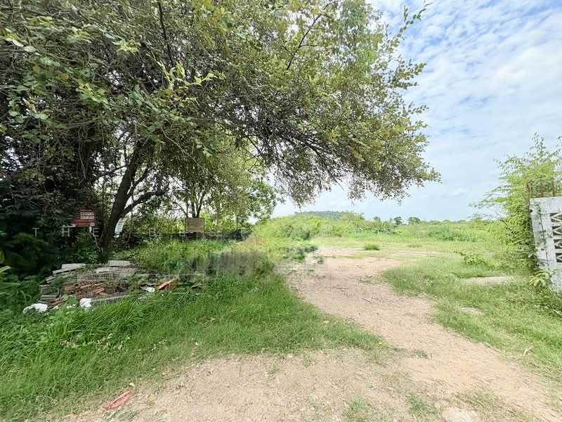 ที่ดินตาคลี นครสวรรค์, นครสวรรค์, ตาคลี, นครสวรรค์, 384 ตร.ม., ที่ดิน ขาย, โดย The Best Property ต้นอ้อ, 500465296 - DDproperty.com