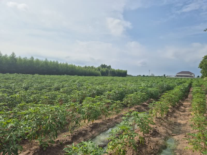 ที่ดินพนัสนิคม ชลบุรี, Chon Buri (Pattaya), Mon Nang, Phanat Nikhom, Chon Buri (Pattaya), , 5,085 sqm, Land For Sale, by The Best Property แหน่ง, 500465385 - DDproperty.com