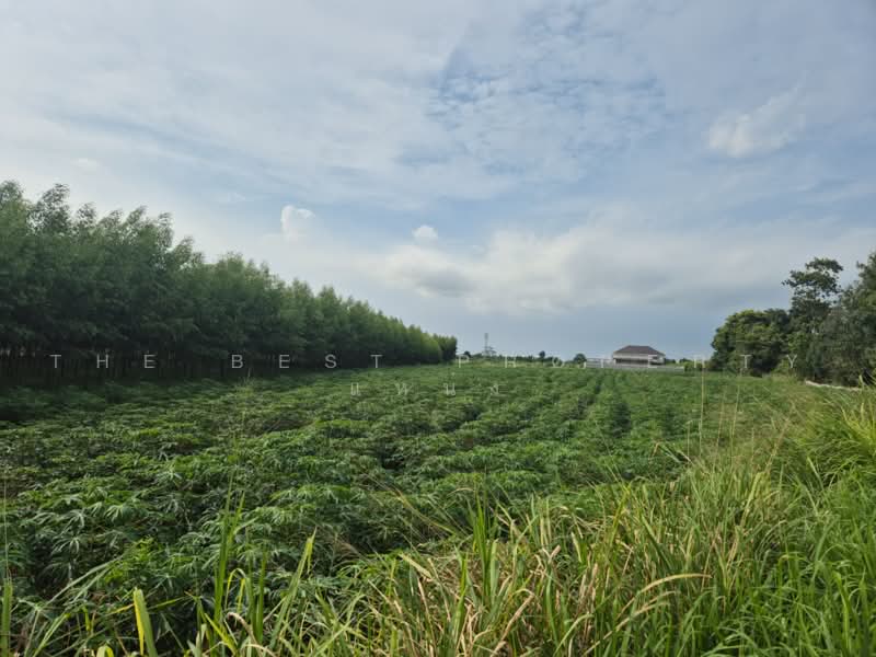 ที่ดินพนัสนิคม ชลบุรี, Chon Buri (Pattaya), Mon Nang, Phanat Nikhom, Chon Buri (Pattaya), , 5,085 sqm, Land For Sale, by The Best Property แหน่ง, 500465385 - DDproperty.com