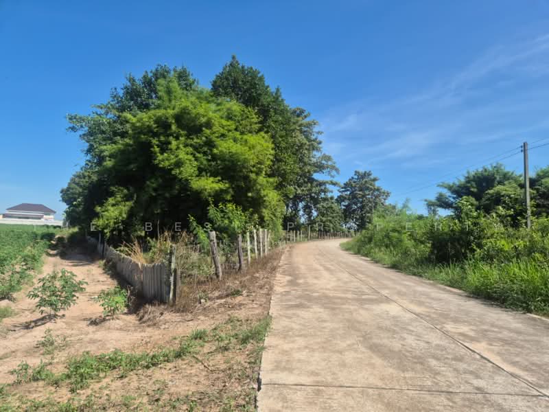 ที่ดินพนัสนิคม ชลบุรี, Chon Buri (Pattaya), Mon Nang, Phanat Nikhom, Chon Buri (Pattaya), , 5,085 sqm, Land For Sale, by The Best Property แหน่ง, 500465385 - DDproperty.com