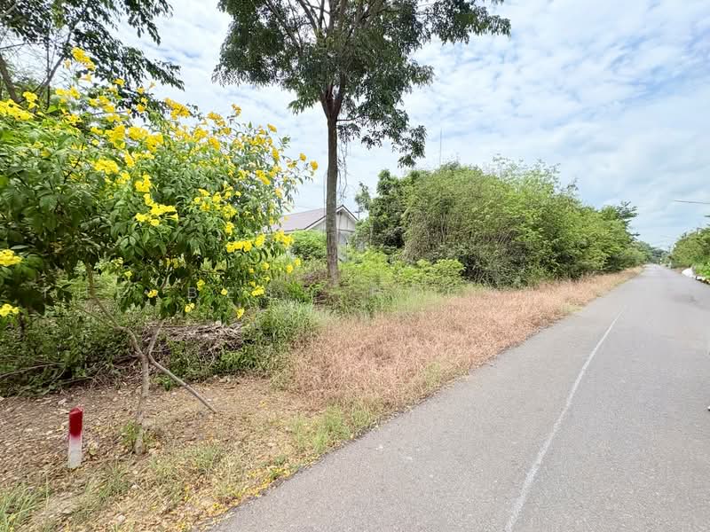 หมู่บ้านแม่ศรีเมืองทองตาคลีแลนด์ นครสวรรค์, Nakhon Sawan, Takhli, Nakhon Sawan, , 200 sqm, Land For Sale, by The Best Property ต้นอ้อ, 500465398 - DDproperty.com