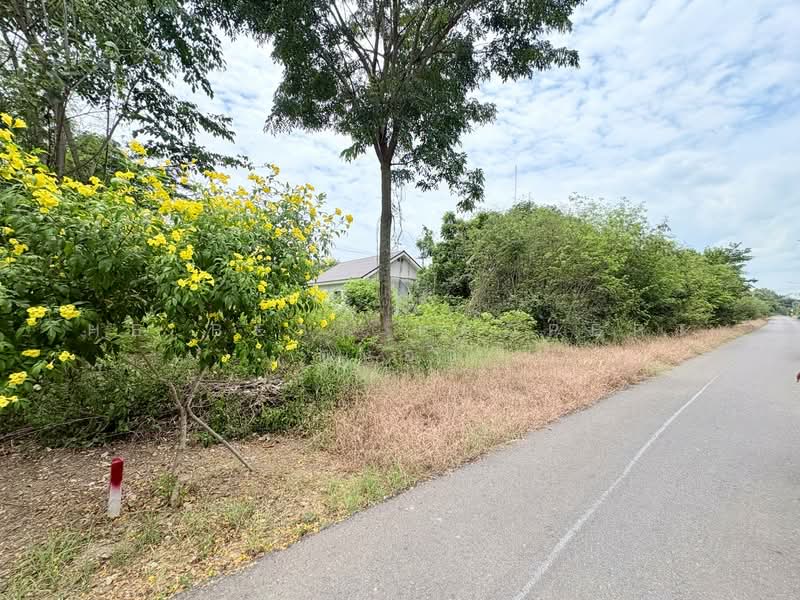 หมู่บ้านแม่ศรีเมืองทองตาคลีแลนด์ นครสวรรค์, Nakhon Sawan, Takhli, Nakhon Sawan, , 200 sqm, Land For Sale, by The Best Property ต้นอ้อ, 500465398 - DDproperty.com