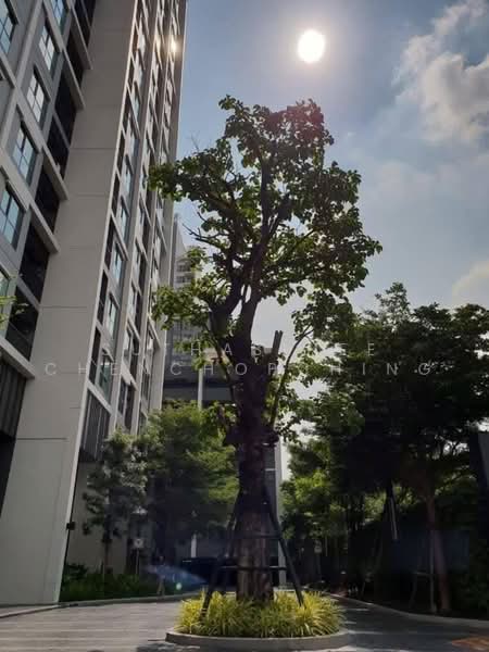 Life Sukhumvit 48 : ไลฟ์ สุขุมวิท 48, กรุงเทพ, ซอยสุขุมวิท 48, พระโขนง, คลองเตย, กรุงเทพ, 40 ตร.ม., คอนโด ขาย, โดย Suthasinee Chenchopching, 500465460 - DDproperty.com