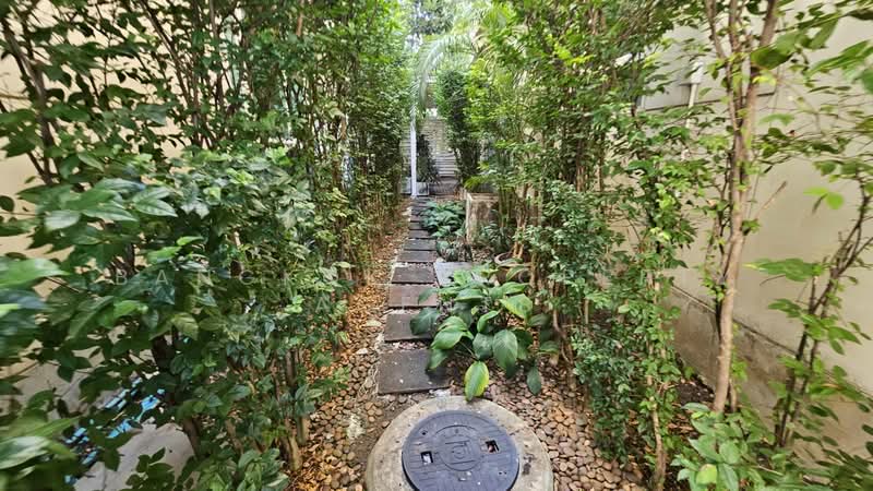 House in Ekkamai, กรุงเทพ, คลองตันเหนือ, วัฒนา, กรุงเทพ, 300 ตร.ม., บ้านเดี่ยว ให้เช่า, โดย BANGKOK PROPERTY AGENTS, 500465506 - DDproperty.com