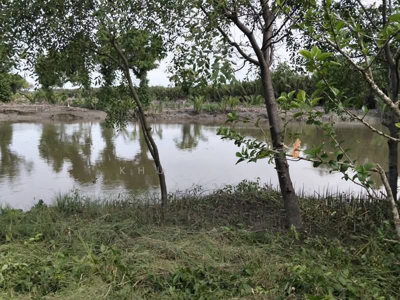 SKM001 ที่ดินพร้อมสิ่งปลูกสร้าง ประเภท รีสอร์ท, Samut Songkhram, พระราม2 ขาออก กม.69 เข้าซอย 400 ม, Bang Khan Taek, Muang Samut Songkhram, Samut Songkhram, , 40,302 sqm, Land For Sale, by Khun Sasi, 500465514 - DDproperty.com