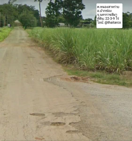 NMA005 ที่ดินเขาใหญ่ 22-3-9 ไร่, Nakhon Ratchasima, Nong Sarai, Pak Chong, Nakhon Ratchasima, , 36,436 sqm, Land For Sale, by Khun Sasi, 500465603 - DDproperty.com