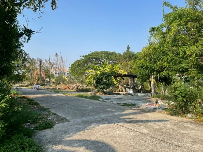 ที่ดินเปล่า 200 ตร.ว. ใกล้ฟู้ดแลนด์ สายไหม ซอยสายไหม43/4, Bangkok, ถนนสายไหม, Sai Mai, Bangkok, , 800 sqm, Land For Sale, by คุณ รตนพร ตะโส (มาย), 500465607 - DDproperty.com