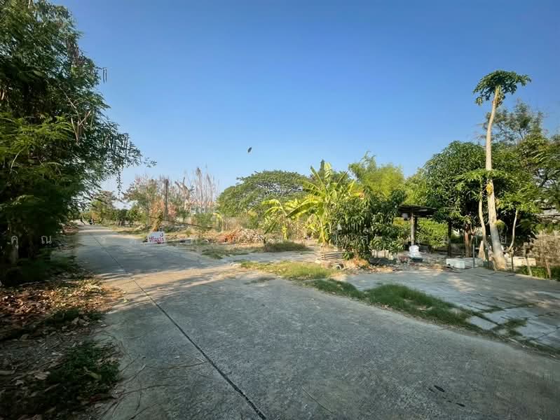 ที่ดินเปล่า 200 ตร.ว. ใกล้ฟู้ดแลนด์ สายไหม ซอยสายไหม43/4, Bangkok, ถนนสายไหม, Sai Mai, Bangkok, , 800 sqm, Land For Sale, by คุณ รตนพร ตะโส (มาย), 500465607 - DDproperty.com