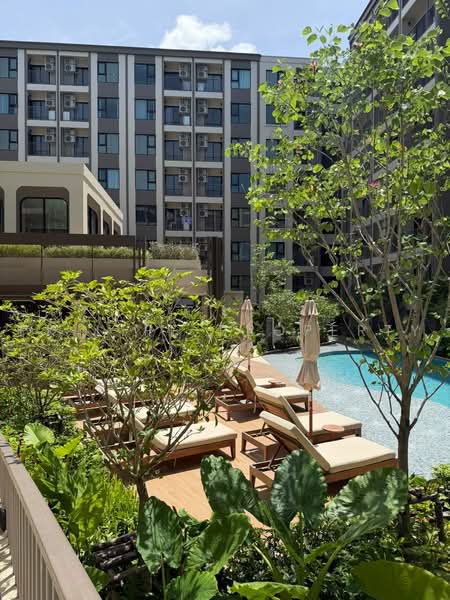 The Origin Centre Phuket, Phuket, Mueang Naka Road, Wichit, Muang Phuket, Phuket, 1 Bedroom, 29 sqm, Condo For Rent, by PK LIFE Property, 500465752 - DDproperty.com