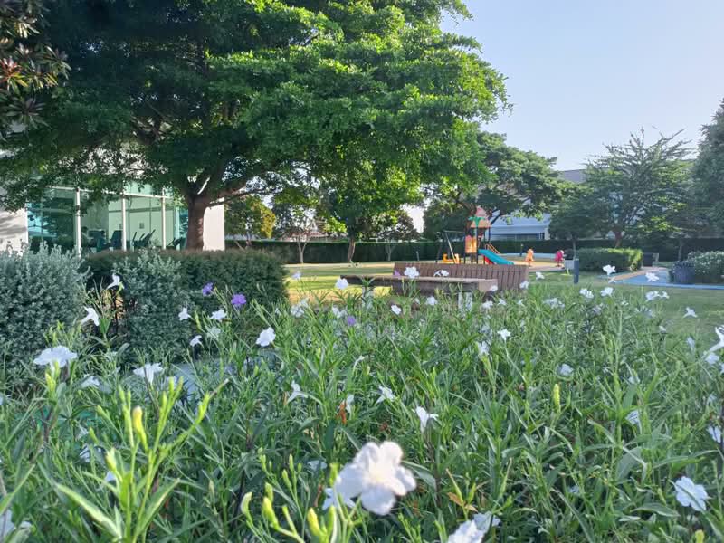 Suetrong Cozy Bangbuathong-340 : ซื่อตรง โคซี่ บางบัวทอง-340 (บางใหญ่), นนทบุรี, ละหาร, บางบัวทอง, นนทบุรี, 135 ตร.ม., ทาวน์เฮ้าส์ ขาย, โดย พรประภา คมกลาง, 500465809 - DDproperty.com