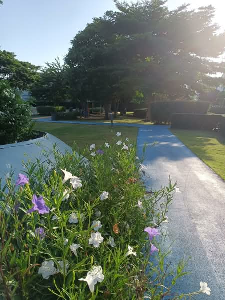 Suetrong Cozy Bangbuathong-340, Nonthaburi, Lahan, Bang Bua Thong, Nonthaburi, 4 Bedrooms, 135 sqm, Townhouse For Sale, by pornprapha Komklang, 500465809 - DDproperty.com