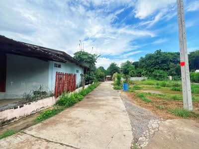 ขาย - ที่ดินสรรคบุรี ชัยนาท, ชัยนาท