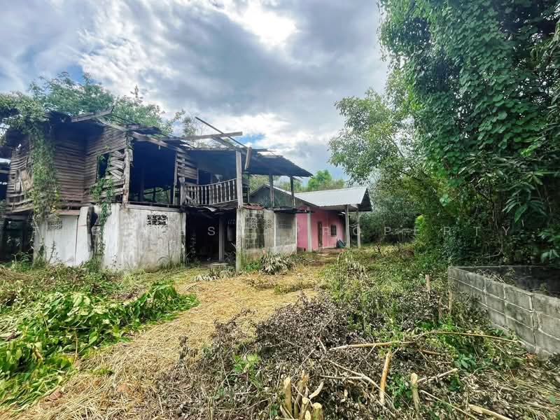 ที่ดินสรรคบุรี ชัยนาท, Chai Nat, Thiang Thae, Sankha Buri, Chai Nat, , 4,784 sqm, Land For Sale, by The Best Property แอ้, 500465843 - DDproperty.com