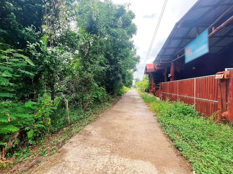 ที่ดินสรรคบุรี ชัยนาท, ชัยนาท, เที่ยงแท้, สรรคบุรี, ชัยนาท, 4,784 ตร.ม., ที่ดิน ขาย, โดย The Best Property แอ้, 500465843 - DDproperty.com