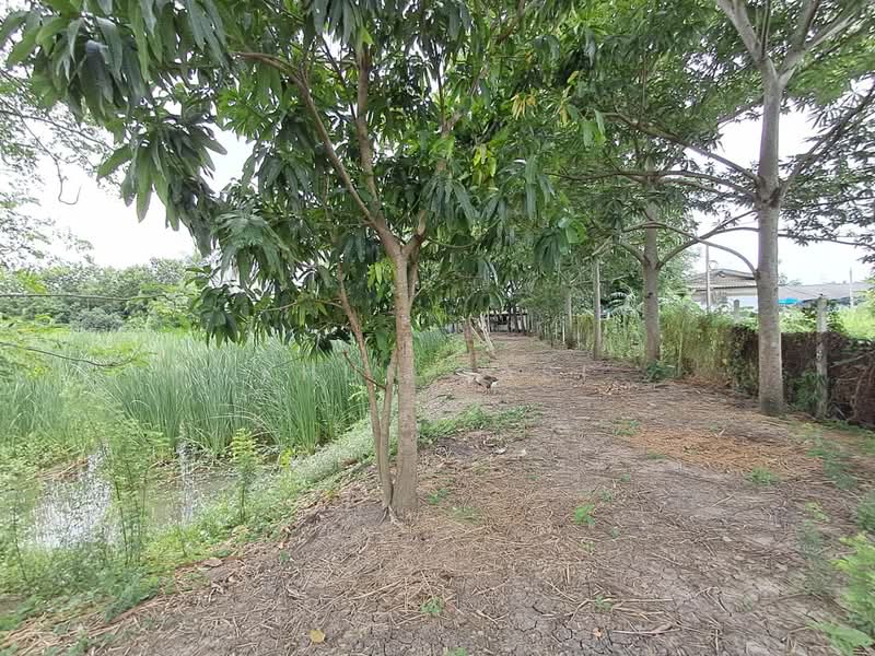 BKK076 ที่ดินภาษีเจริญ, Bangkok, Bang Phai, Bang Khae, Bangkok, , 24,372 sqm, Land For Sale, by Khun Sasi, 500465924 - DDproperty.com