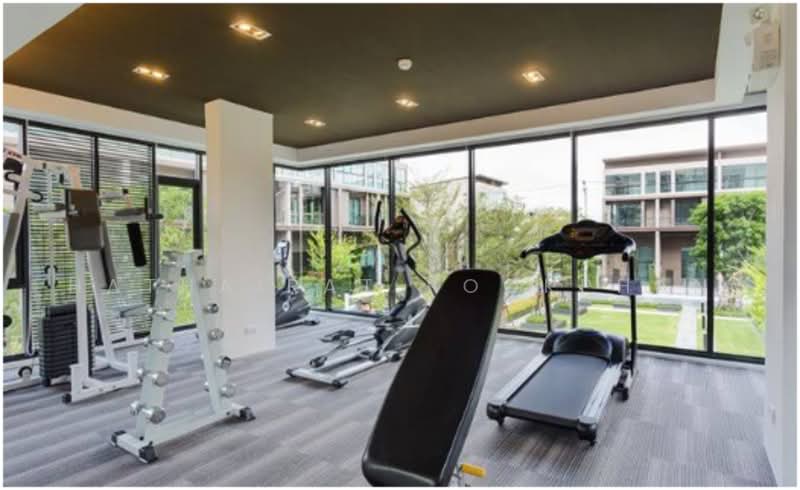 Baan Klang Muang Ratchayothin, Bangkok, 464 Phahonyothin Alley, Sena Nikhom, Chatuchak, Bangkok, 3 Bedrooms, 202 sqm, Townhouse For Sale, by Hathairat Rookphan, 500465927 - DDproperty.com