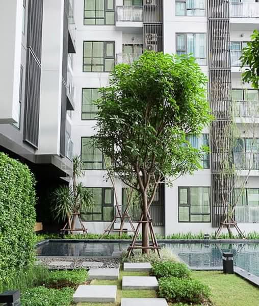 Rhythm Sukhumvit 36-38, Bangkok, 55 Soi Sukhumvit 36, Sukhumvit Road, Phra Kanong, Khlong Toei, Bangkok, 1 Bedroom, 35 sqm, Condo For Rent, by Hathairat Rookphan, 500465948 - DDproperty.com