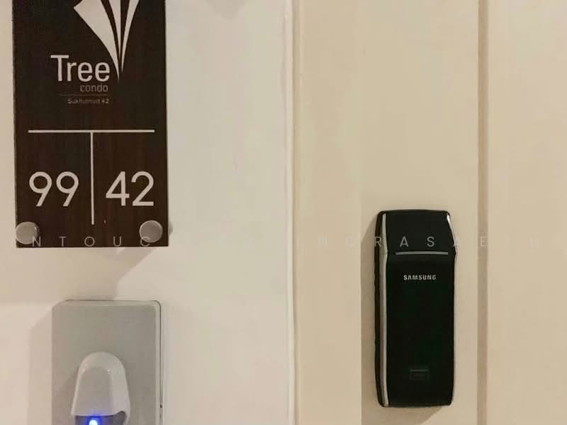 Tree Condo Sukhumvit 42, Bangkok, Soi Sukhumvit 42/1, Sukhumvit Road, Phra Kanong Nua, Watthana, Bangkok, 1 Bedroom, 47 sqm, Condo For Rent, by Intouch Abhinorasaeth, 500465992 - DDproperty.com